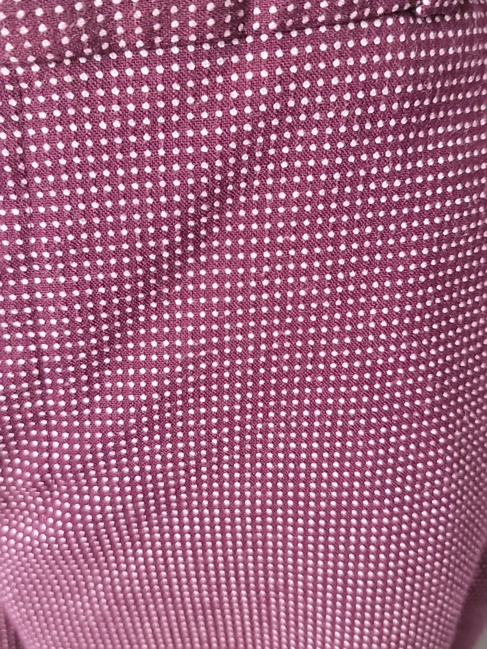 BANANA REPUBLIC Avery Purple White Polka Dot Ankle Cropped Professional Pants 14